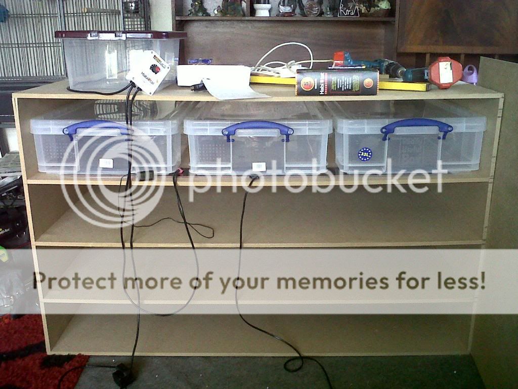 Another Ikea snake rack Reptile Forums